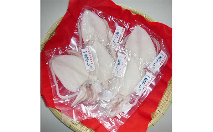 
                  須佐剣先イカ一夜干しセット5枚
                