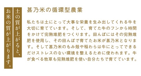 【新米】令和7年産 甚乃米 ひとめぼれ 10kg 白米 精米 AC023