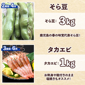 ＜定期便・全6回(偶数月)＞阿久根市の山の幸・海の幸！不知火・そら豆・タカエビ・メロン・伊勢えび・ぼんたんなど)国産 柑橘 みかん フルーツ 果物 魚介 頒布会【松永青果】a-120-5