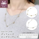 【ふるさと納税】 ネックレス ジュエリー レディース アクセサリー ダイヤモンド 選べる種類 2種 14金 サンドベージュゴールド ホワイトゴールド ロングネックレス メレダイヤ やまなし 名工 ギフト プレゼント ネックレスケース付 保証書付 k244-071