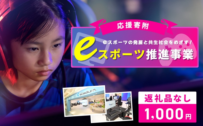 ON0011 【返礼品なし】eスポーツの発展と共生社会を実現をめざす！eスポーツ推進応援寄附（大阪府泉佐野市）　