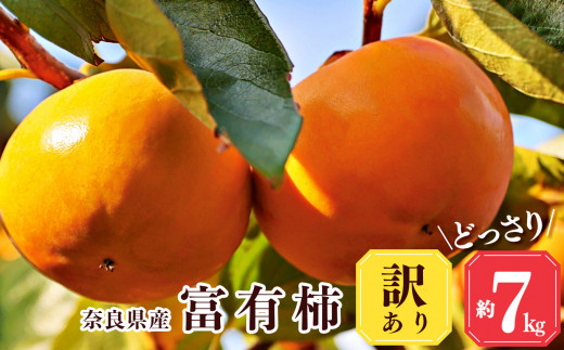 【 堀うち農園 】どっさり 約 7kg 訳あり 富有柿  | フルーツ くだもの 果物 柿 かき デザート 人気 国産 産地直送 カキ 果実 11月 順次発送 秋 旬 味覚 グルメ お取り寄せ 送料無料 大容量 農家直送 ビタミン タンニン 食物繊維 豊富 美容 健康 特産品 甘い 多汁 甘柿 株式会社堀内果実園 柔らかい こだわり わけあり 訳アリ 自宅用 家庭用 ご自宅用 奈良県 五條市