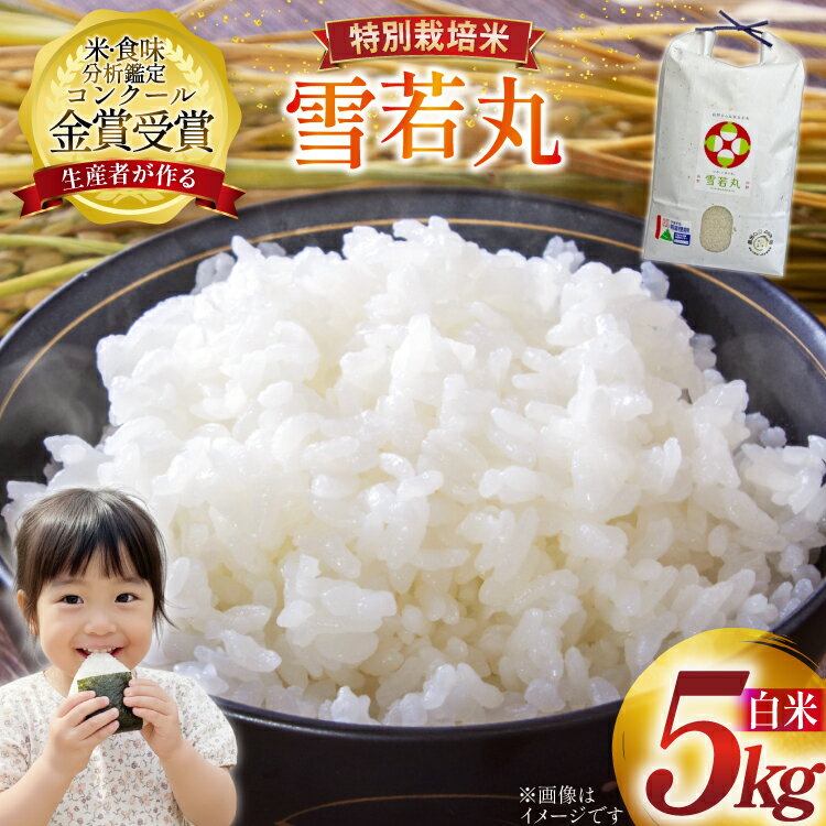 【ふるさと納税】 米 令和7年産 雪若丸 5kg 特別栽培米 精米 [農家の蔵出し米生産組合 山形県 高畠町 tk06ays900000] コメ ご飯 ごはん お米 ブランド米