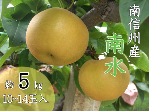 
            【南信州産】梨　南水5kg　秀品　＜2025年9月中旬～発送開始予定＞　10玉～14玉入り
          