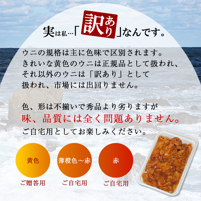 1261. 訳あり うに チリ産 冷凍 ほたて ウニ 100g 帆立 300g 雲丹 不揃い わけ あり 海鮮 丼 海鮮丼 刺身 うに丼 送料無料 北海道 弟子屈町