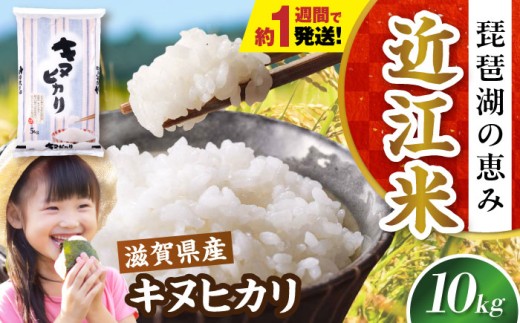 【スピード発送】【令和7年産】米 キヌヒカリ 10kg 白米 滋賀県長浜市/株式会社コメック [AQDH004] 米 お米 白米 10kg きぬひかり 滋賀県産 長浜市産 こめ 精米 お米  食品 国産 米ギフト ブランド米 食卓 美味しい 冷めても美味しい 人気 お弁当 和食 ご飯のお供 上品な 甘み あっさり カレー 丼 丼もの  スピード配送 すぐ発送 すぐ届く 早い