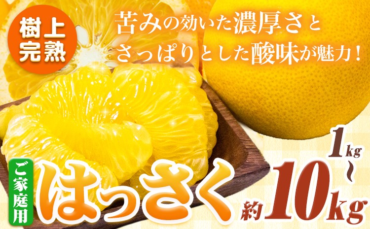 
                  樹上完熟 ご家庭用 訳あり はっさく 八朔 みかん 1kg+250g 2.5kg+250g 5kg+250g 10kg+250g 傷み補償分 池田鹿蔵農園 《2026年4月上旬-5月末頃出荷》和歌山県 日高町 送料無料 はっさくみかん 家庭用 光センサー選別 八朔 訳ありはっさく【配送不可地域あり】
                