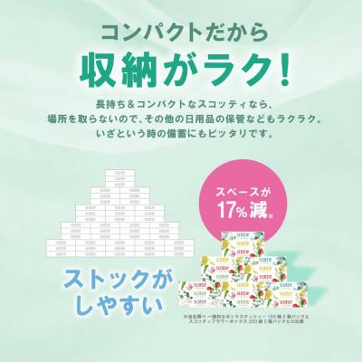 ふるさと納税 八代市 【2ヵ月毎定期便】ティシューフラワーボックス250組5箱パック×12 合計60箱【41365】全3回 |  | 02