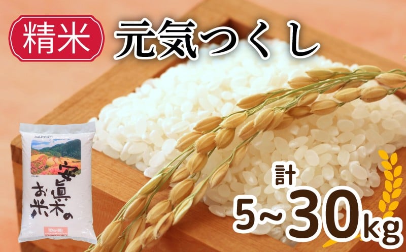 
            元気つくし 精米 5kg～30kg (福岡県認定地域資源)  米 人気 ブランド米 福岡県産米 産地直送 お米 おこめ こめ ゴハン メシ 飯 夕ご飯 美味しいご飯 米 白米 ライス ごはん 主食 防災 備蓄 福岡 川崎
          