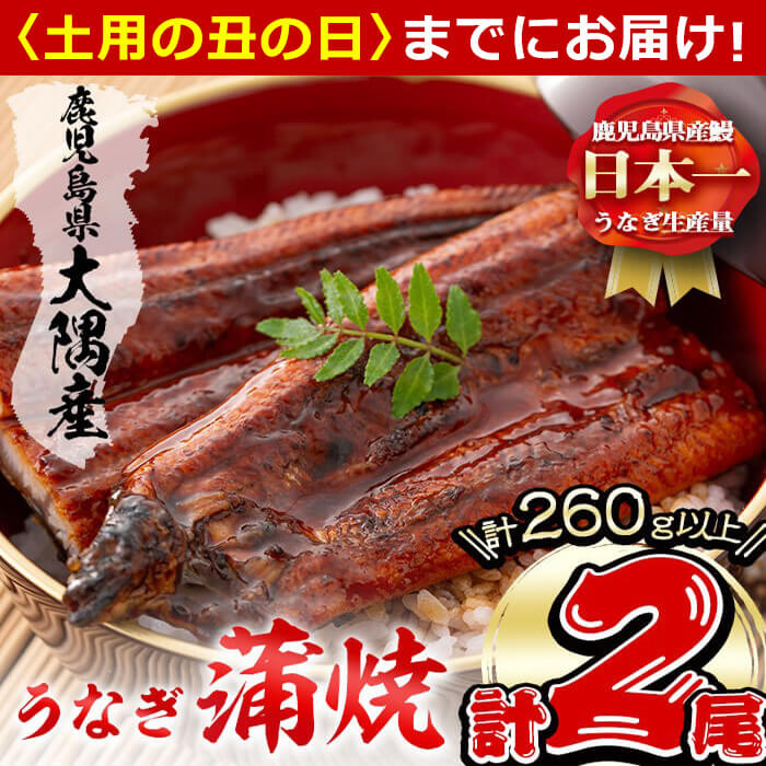 【ふるさと納税】楠田の極うなぎ蒲焼き130g以上×2尾(計260g以上) 山椒付たれ 鰻 ウナギ 蒲焼 うな重 ひつまぶし 鹿児島 冷凍 おかず お祝い【楠田淡水】a4-093