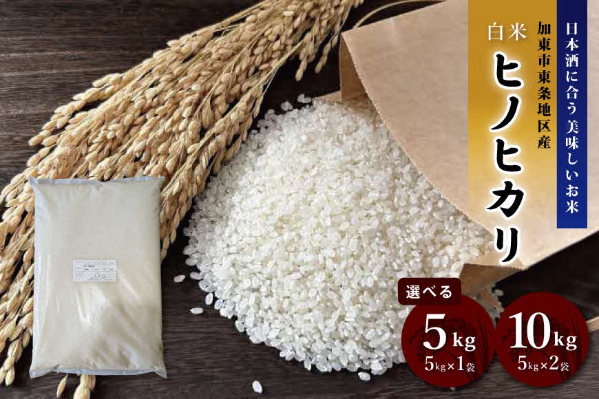
                  令和7年産 ヒノヒカリ 白米 5kg・10kg (5kg×2) / 加東市東条地区産 お米 精米 訳あり 簡易包装 米 コメ ひのひかり 兵庫県産 5キロ 10キロ ライス 日本酒に合うヒノヒカリ
                