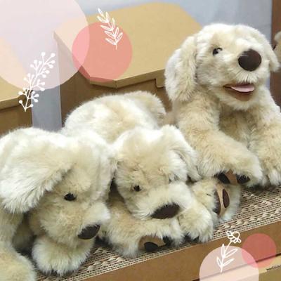 ふるさと納税 糸島市 「パトラン」(重たいぬいぐるみ)《糸島》【科学工房未來】[AYI001] |  | 02