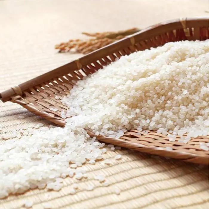 米 ミルキークイーン 令和7年産 鳥取県産 5kg 米