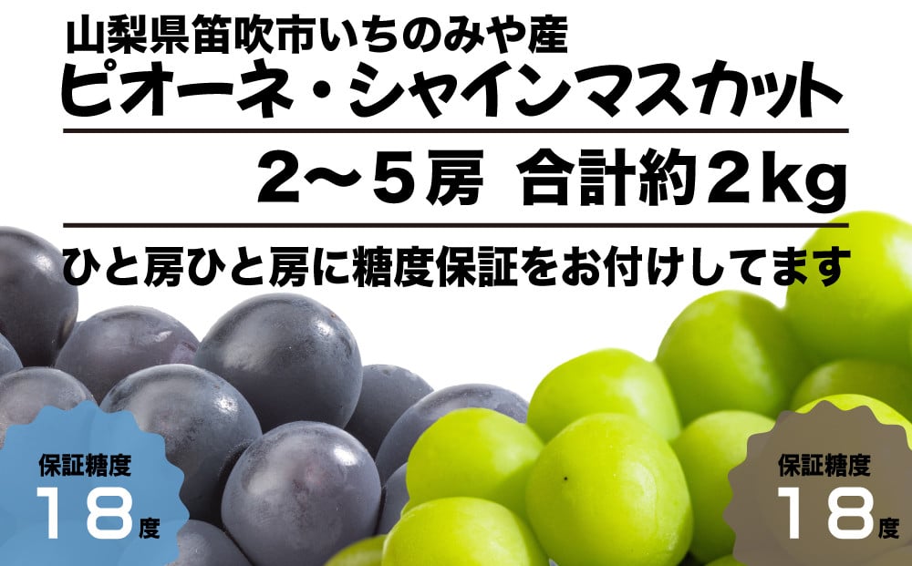 
【全房糖度保証付】王道ピオーネとシャインマスカット食べ比べ 合計約2kg【数量限定】104-051 旬の美味しいフルーツだけをお届けします【ルッチ Rucci】産地直送 山梨県 笛吹市 果物 葡萄 ぶどう 黒ブドウ 黒系 贈答 人気 ギフト
