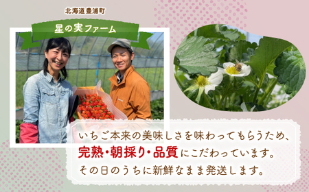【2026.4月下旬以降順次出荷】北海道 豊浦 いちご 小玉 けんたろう 250g×4パック1箱 約1kg TYUW001