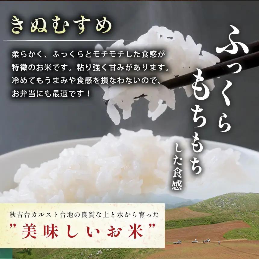 令和8年度産 新米 きぬむすめ 白米 5kg 村上農園 先行予約 ＜2026年10月中旬より11月末まで順次発送 ＞