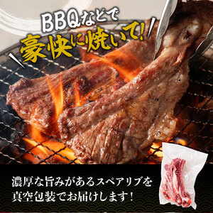 数量限定！宮崎県産豚肉放牧豚スペアリブ1.5kg 【 豚 肉 国産 九州産 宮崎県産 川南町産 豚肉 スペアリブ 】