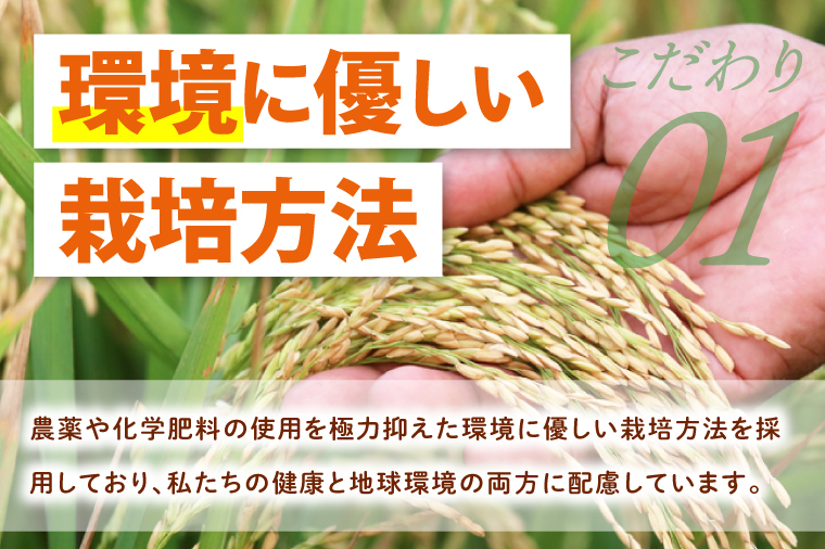 【6ヶ月定期便】令和7年産 茨城県特別栽培米コシヒカリ ネオニコフリー玄米5㎏｜米 おこめ こしひかり 農家直送 直送 茨城県 阿見町（04-32）