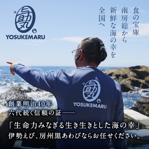 【2026年5月～9月初旬発送予定】【数量限定】房州 黒あわび 約500g (200/300g × 2枚) mi0020-0012