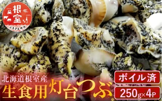 A-14133【12/10まで年内配送】  【北海道根室産】生食用灯台つぶ(ボイル済み)250g×4P(計1kg)