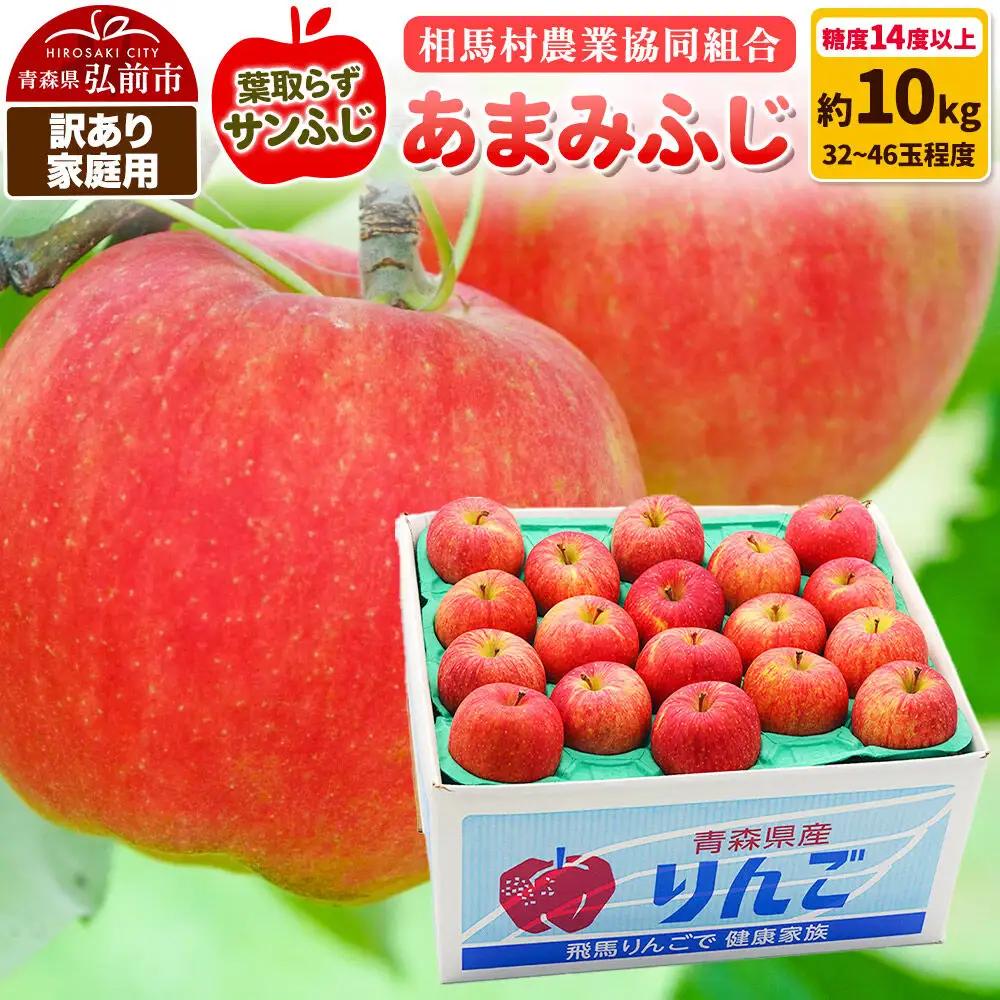 りんご あまみふじ 訳あり 約10kg【3月クール便発送】りんご