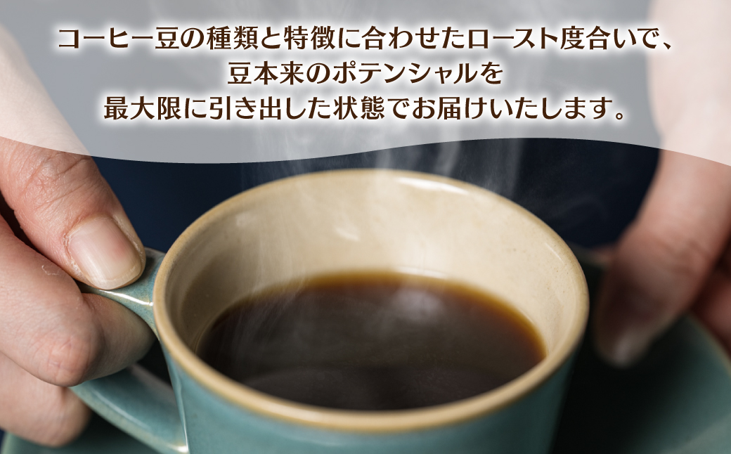 自家焙煎珈琲 ドリップパック コーヒー 珈琲 ドリップコーヒー 癒し