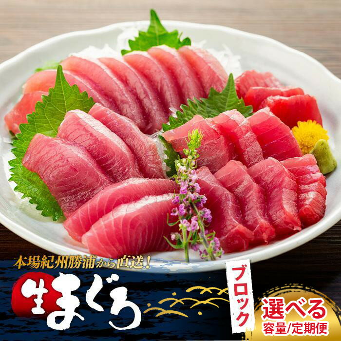 【ふるさと納税】【選べる容量／定期便】生まぐろの本場紀州勝浦から直送！ 生メバチマグロ 約600g～4.5kg | 魚 お魚 さかな 食品 人気 おすすめ 送料無料