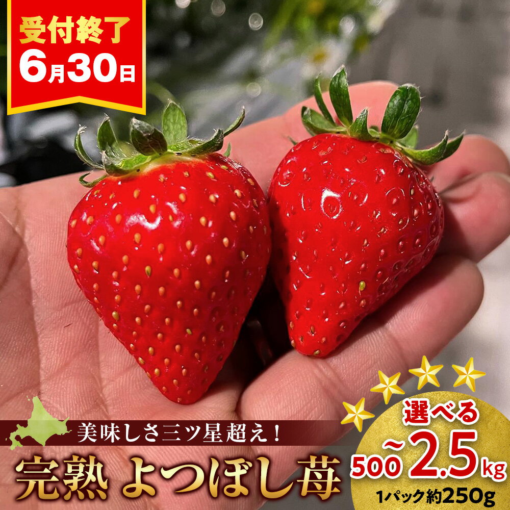 【ふるさと納税】北海道産 完熟よつぼし苺 選べる2〜10パック 1パック約250g北海道ふるさと納税 積丹町 ふるさと納税 北海道 いちご 苺 イチゴ 果物 フルーツ デザート