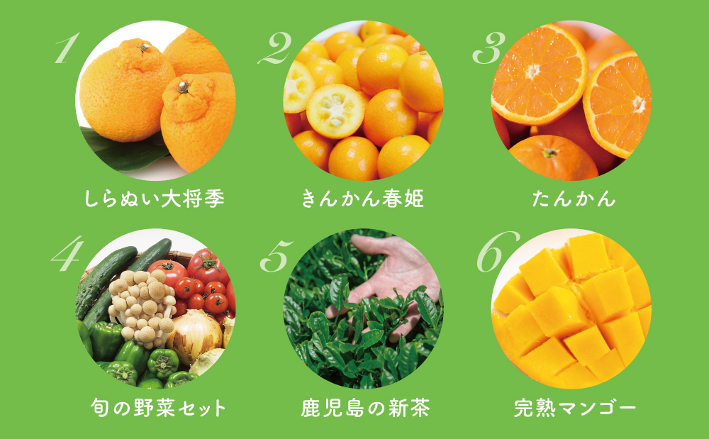 【定期便】南国の恵み 旬のフルーツ・野菜定期便（全12回）  鹿児島県産 果物 フルーツ 柑橘 野菜 お茶 米 コシヒカリ ぶどう 巨峰 マンゴー メロン 定期便
