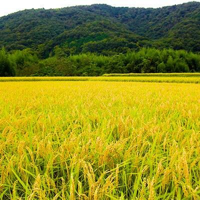 ふるさと納税 阿波市 【徳島産】清酒2本詰め合わせセット(瓢太閤 純米大吟醸・瓢太閤 吟醸) |  | 01