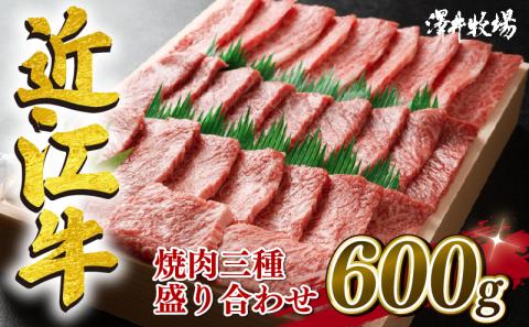 近江牛 焼肉 盛り合わせ 600g 冷凍 黒毛和牛 和牛 牛肉 ブランド和牛 霜降り 赤身 近江牛 ブランド 三大和牛 贈り物 ギフト 滋賀県 竜王町 澤井牧場