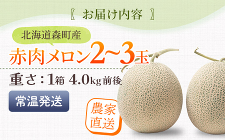 【先行予約】北海道森町産赤肉メロン2～3玉入り（1箱4kg前後）（2025年6月上旬～8月上旬頃順次発送）＜道産ネットミツハシ＞  森町 メロン 果物 赤肉 北海道産 mr1-0906