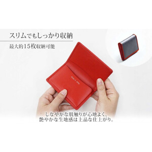 hide k 1896 ソフトカーボン カードケース  スリム タイプa【レッド】card case a 11cm×7cm×1cm メンズ 名刺入れ 名刺ケース めいし ビジネス カード入れ カウレザ
