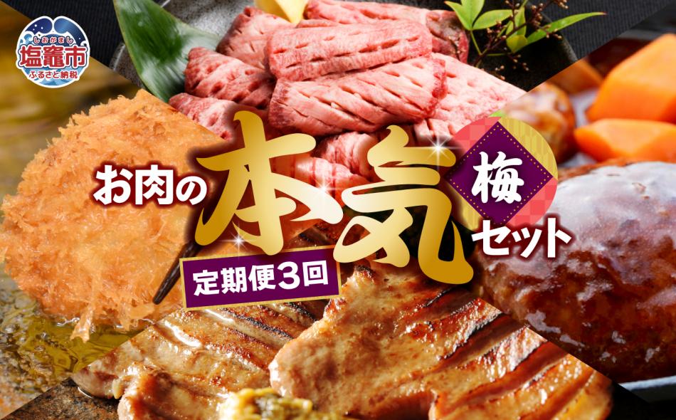 定期便 お肉屋さんのお肉の本気詰合せセット・梅＜全3回＞　 5011849