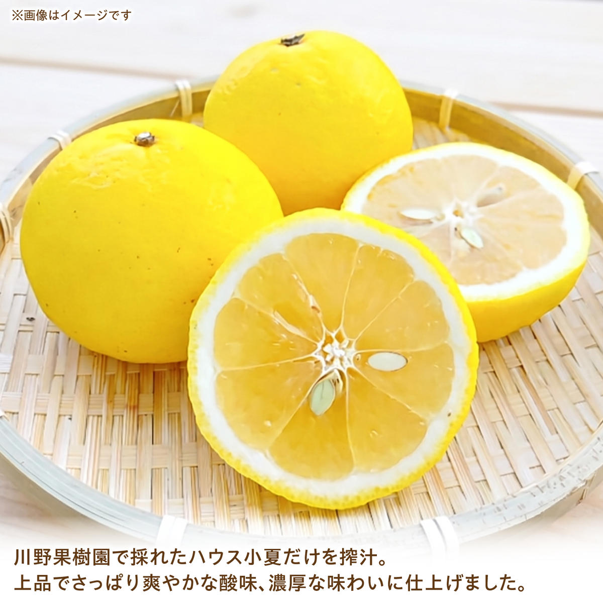 高知県 土佐市産 KONATSU JUICE KJ 100％ 500ml (1本) 小夏ジュース ジュース 果物 フルーツ フルーツジュース お取り寄せ ドリンク 高知県 土佐市【川野果樹園】 [BQ