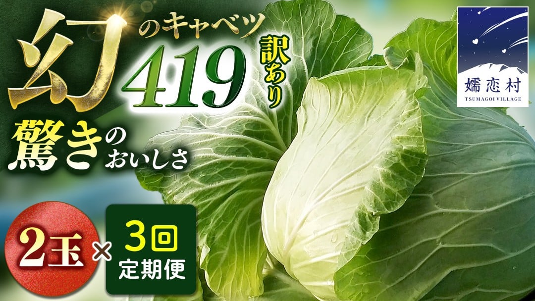
            【7月中旬発送開始】 《 3か月 定期便 》 訳あり まぼろしの419キャベツ 2玉 3カ月 きゃべつ 嬬恋村産キャベツ 羽生田売店 幻のキャベツ419 産地直送 期間限定 人気 朝採り 通販 お取り寄せ 関東 群馬 出荷時期限定 [AL015tu] 
          