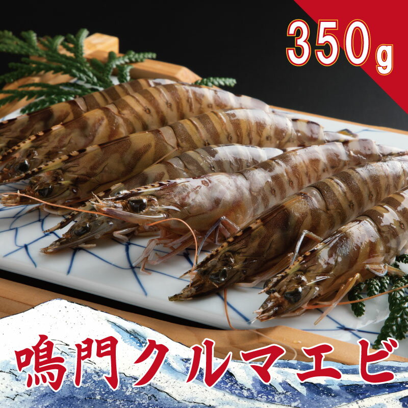 【ふるさと納税】 車海老 生きたまま 350g 12尾 から 15尾 2025年 8月から翌年1月10日まで発送 鳴門 クルマエビ くるまえび 養殖 活き 車えび 車エビ エビ 海老 海鮮 刺身 旬 徳島県