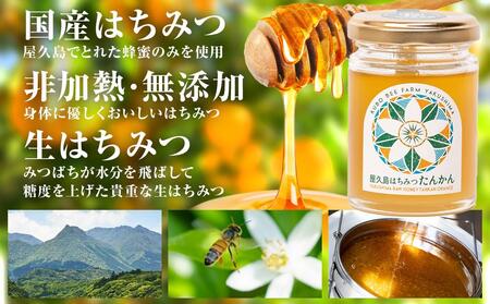 【非加熱・無添加】屋久島産 はちみつ（たんかん）120g×1個＜久保養蜂園 屋久島ファーム＞