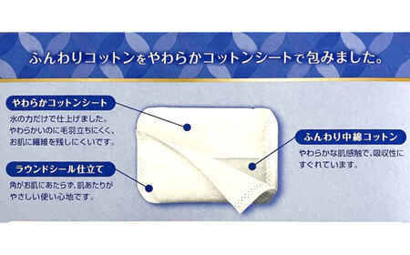 【2回定期便】レジェールパフ(封入タイプ 箱入) 80枚×4個 BKCL002