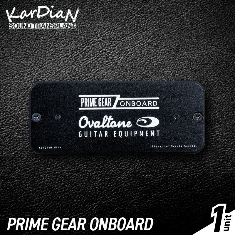 【ふるさと納税】PRIME GEAR ONBOARD キャラクターモジュール 演奏 ニュアンス 最大限 アップグレード トリートメント効果 バッファー機器 ローインピーダンス 変換 エフェクター エレキギター ベース 楽器 サウンド アクセサリ 音響機材 お取り寄せ 滋賀県 守山市 送料無料