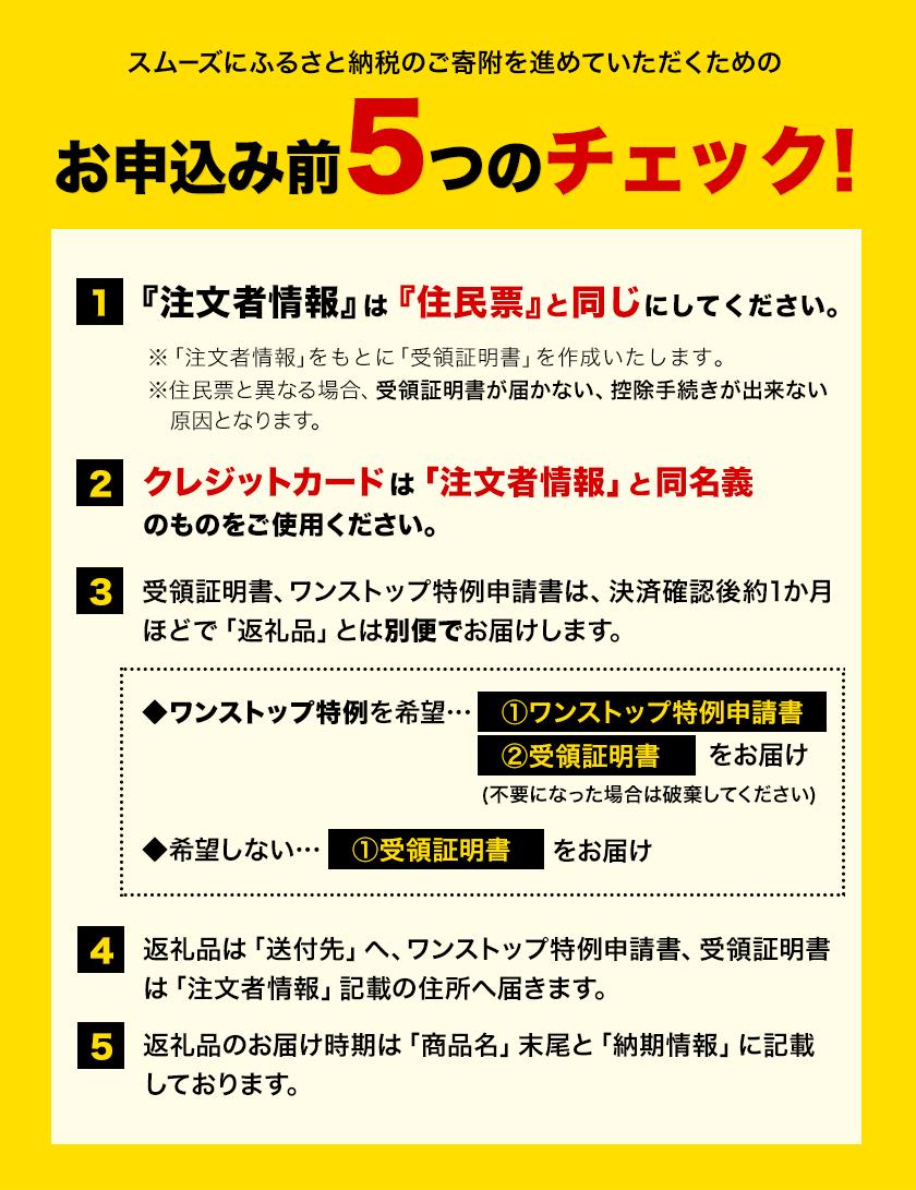500ml×48本強炭酸水 《7-14営業日以内に出荷予定》くまもと風土の強炭酸水たっぷり24Lストロング炭酸水 ---fn_gktstrong_wx_24_13000_24l---