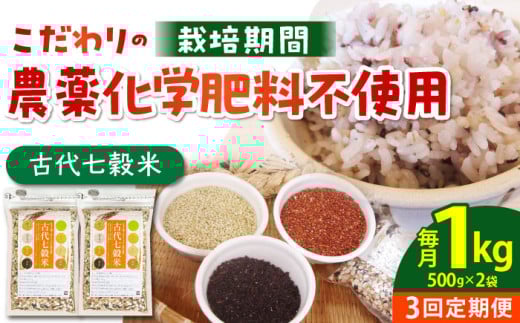 【全3回定期便】古代七穀米 1kg ( 500g×2個セット ) 【だいちの家】[HAG008] 定期便 雑穀 雑穀米 古代米 発芽玄米 玄米 黒米 麦 ヒエ アワ 佐賀