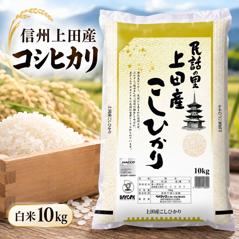 米 コシヒカリ 10kg お米 白米 精米 単一原料米 ブランド米 銘柄米 10キロ 令和8年産 長野県産 長野 長野県 上田市