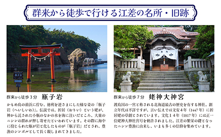 「町歩きガイド付きプラン※期間限定7・8月除く」江差旅庭 群来（くき）《おひとり様宿泊券》　北海道の高級旅館　大人の隠れ家　源泉かけ流し天然温泉宿　個室温泉付き客室　直営農場の平飼い卵・サフォーク羊・
