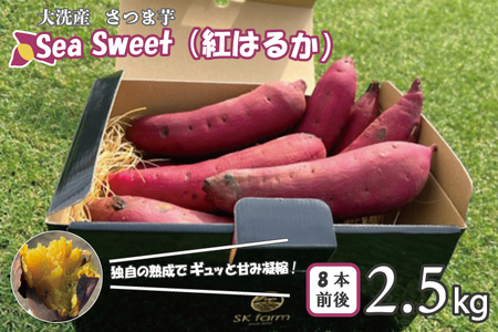  大洗産 さつまいも 紅はるか 2.5kg （8本前後） 「Sea Sweet」 _CF002
