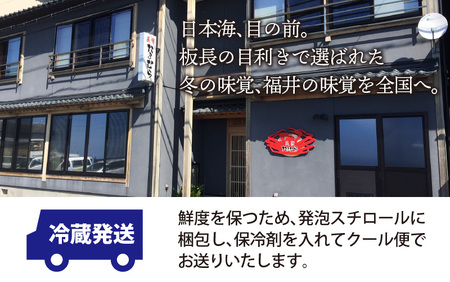 【先行予約】越前がに 大 （1kg以上） 1杯【2027年1月～3月発送予定】 日本海 直送