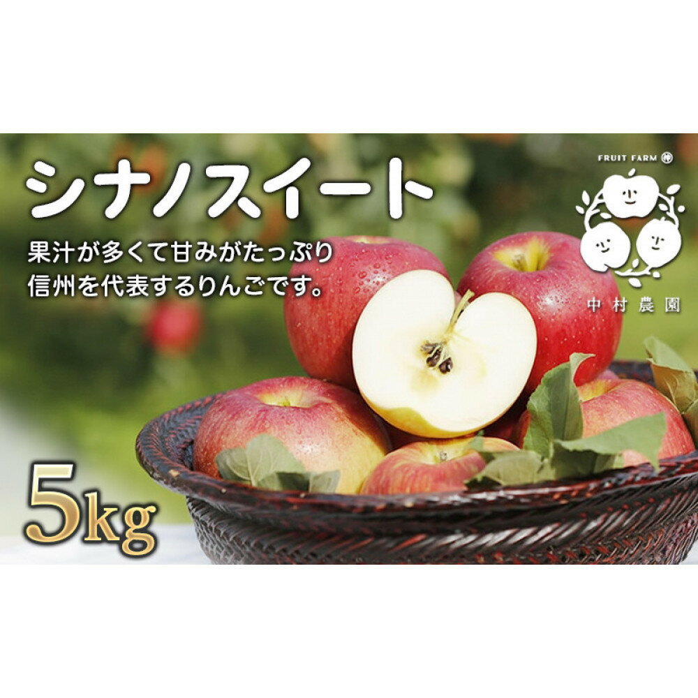 【ふるさと納税】フルーツファーム中村農園　【10月中旬発送 先行予約】樹上熟成　シナノスイート 5kg | りんご シナノスイート 樹上熟成 林檎 甘味 人気 おすすめ 果物 フルーツ 旬 甘いりんご 贈答用 ギフト 送料無料 長野県 長野市 信州 信濃 ふるさと納税