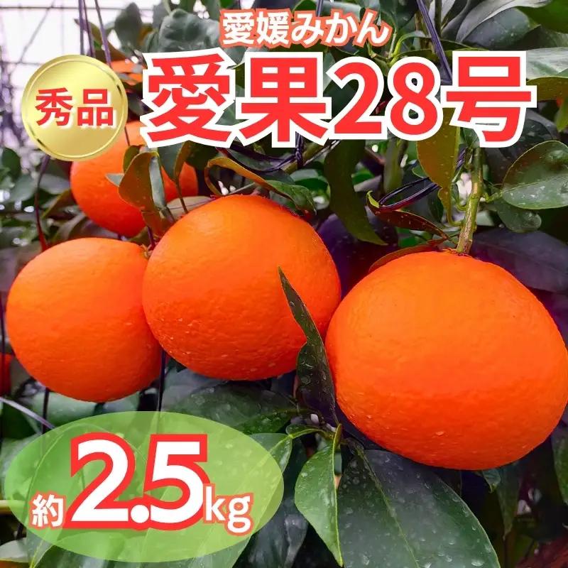 【2026年11月下旬より順次発送】愛果28号 秀品 約2.5kg バラ詰め｜B508