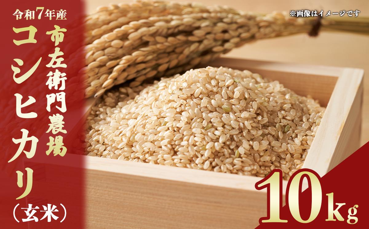 
                  令和7年産 コシヒカリ 10kg 玄米 スピード発送 │ 米 こめ こしひかり ご飯 10キロ 2025年産 茨城県産 茨城県 つくば市
                