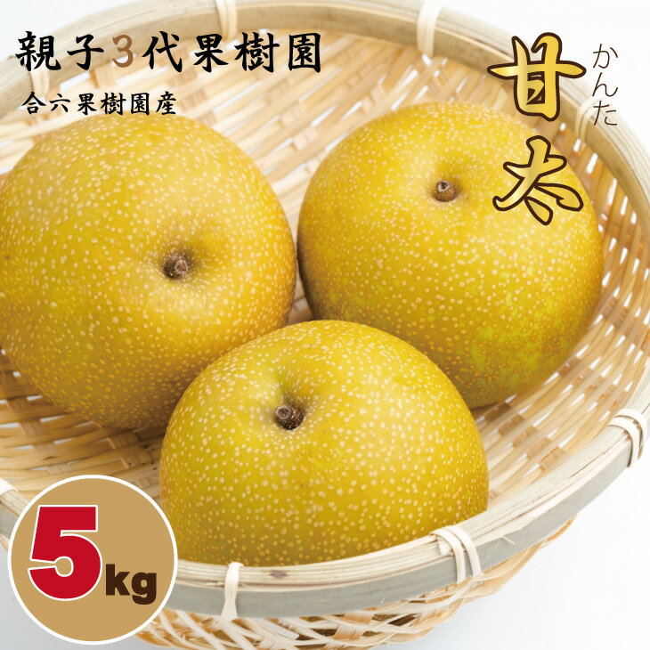 【ふるさと納税】【先行予約】 甘太「かんた」 梨（5kg） 親子三世代 農家 合六果樹園 送料無料 農家直送 フルーツ 秋 ジューシー 果実 果物 ほうすい 人気 ランキング 【B140-019】